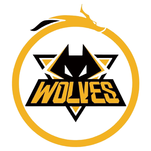 选择我们的五大优势